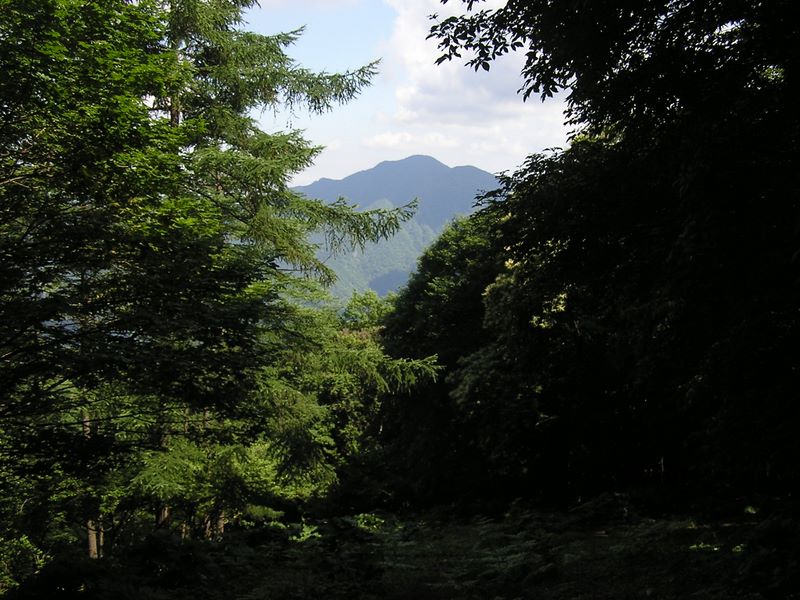 鷹ノ巣山 -- 御前山が正面に