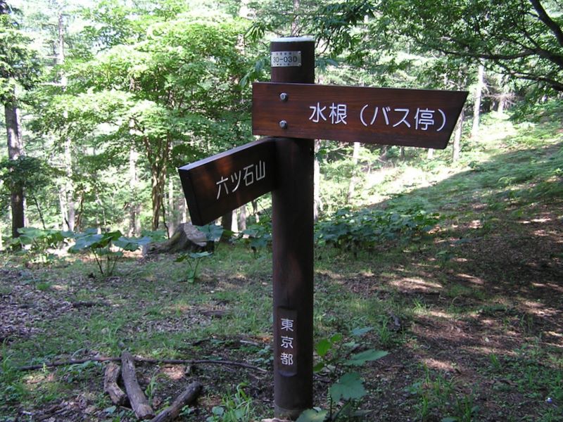 鷹ノ巣山 -- トオノクボで右折