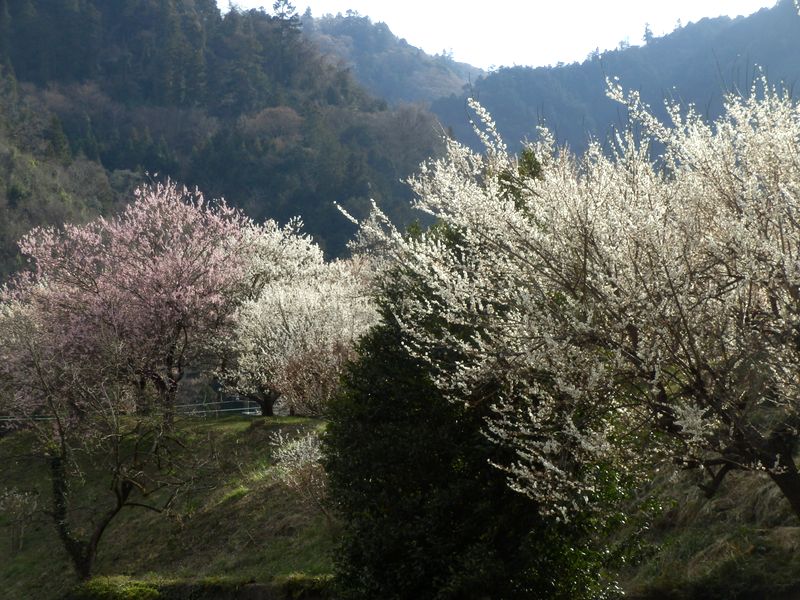 荒井バス停に向かう