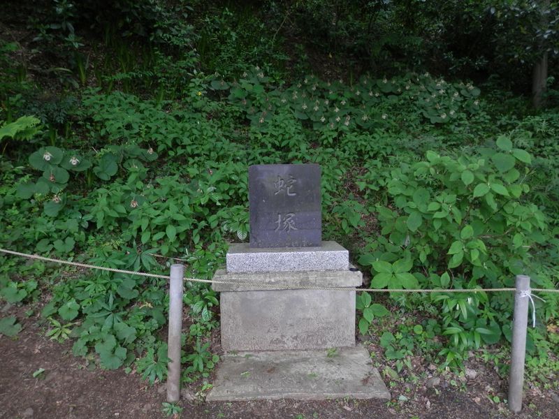 「蛇塚」とクマガイソウ