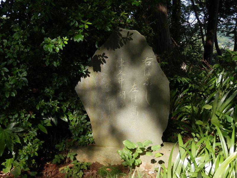 峯の薬師の歌碑