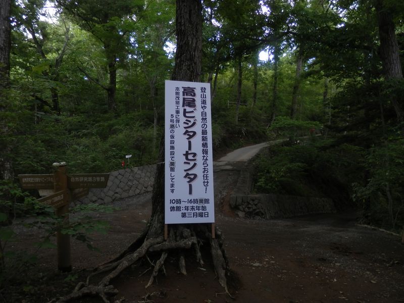 高尾山花探し -- ここで左折して５号路に入った