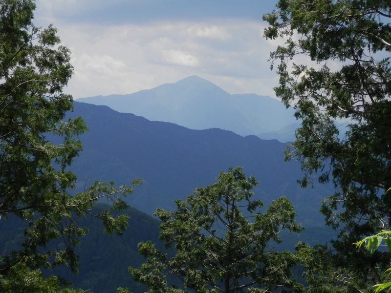 高尾山花探し -- 大室山を望む