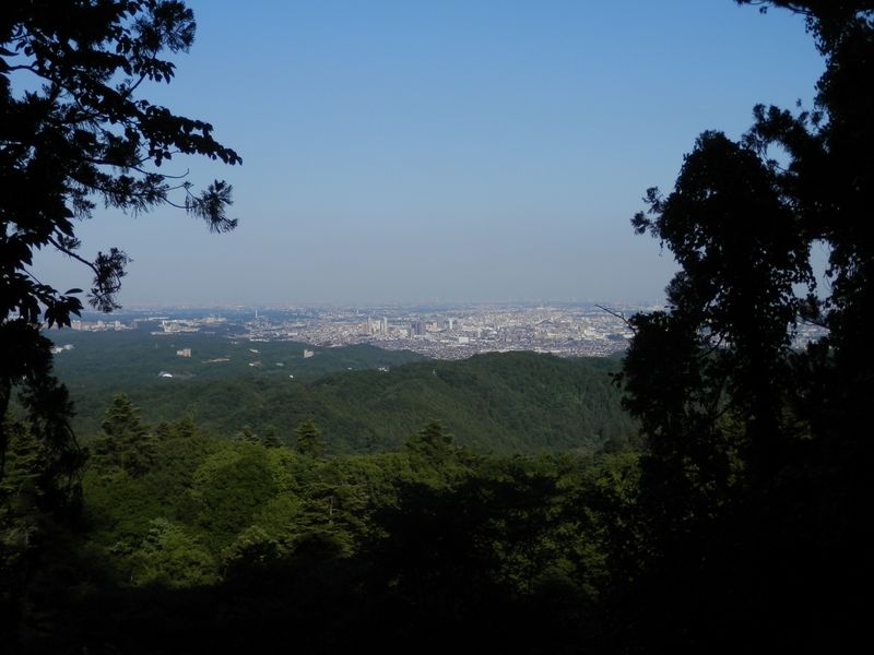 高尾山花探し -- よく晴れました
