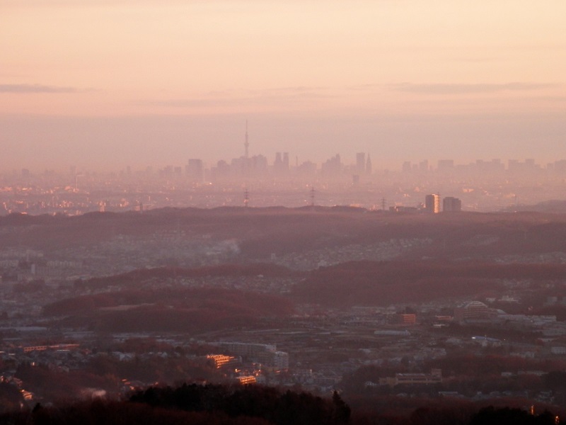 稲荷山展望台より、東京スカイツリー遠望