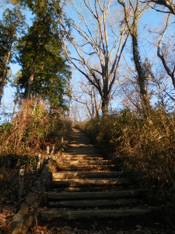 高尾山頂まで、あと50m