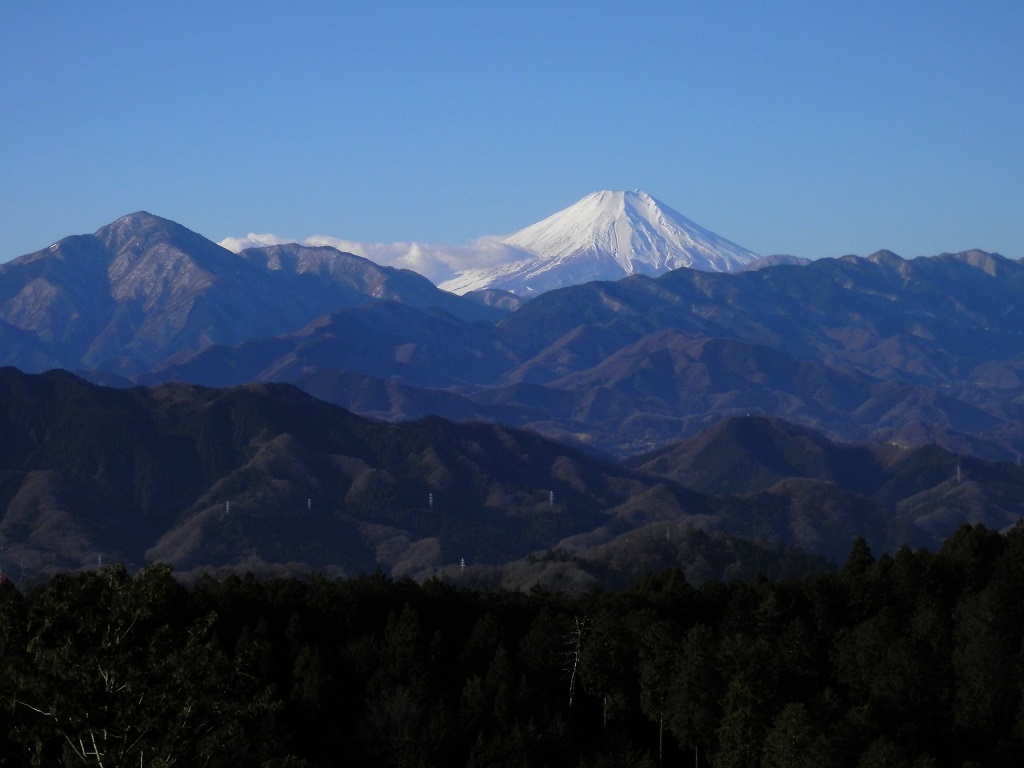 一丁平より望む、大室山、加入道山、富士山、赤鞍ヶ岳、他