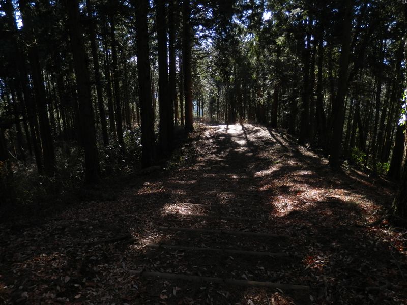 一丁平から大垂水峠に向かう下り道