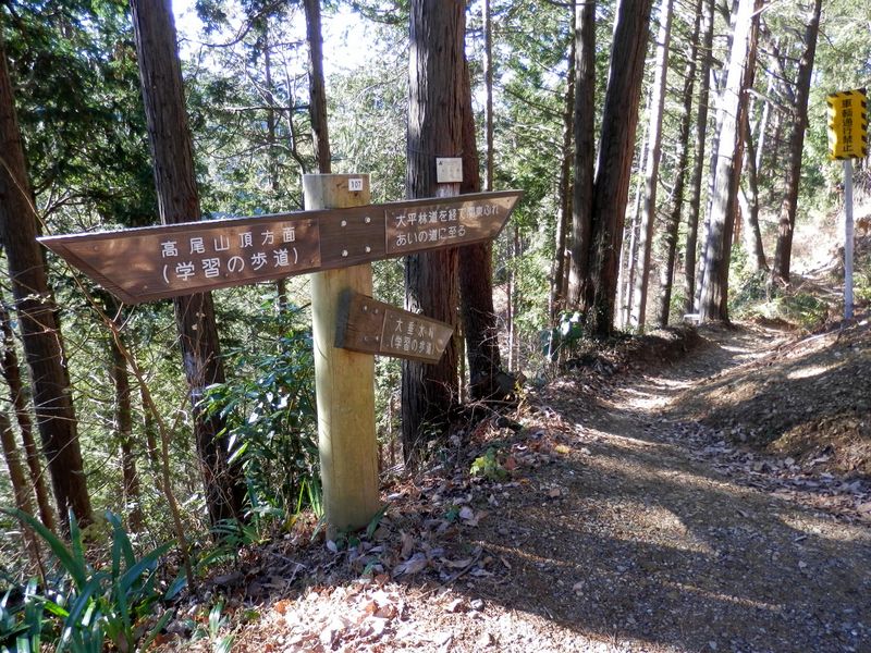 南高尾山稜 -- ここから、狭いわき道を下る