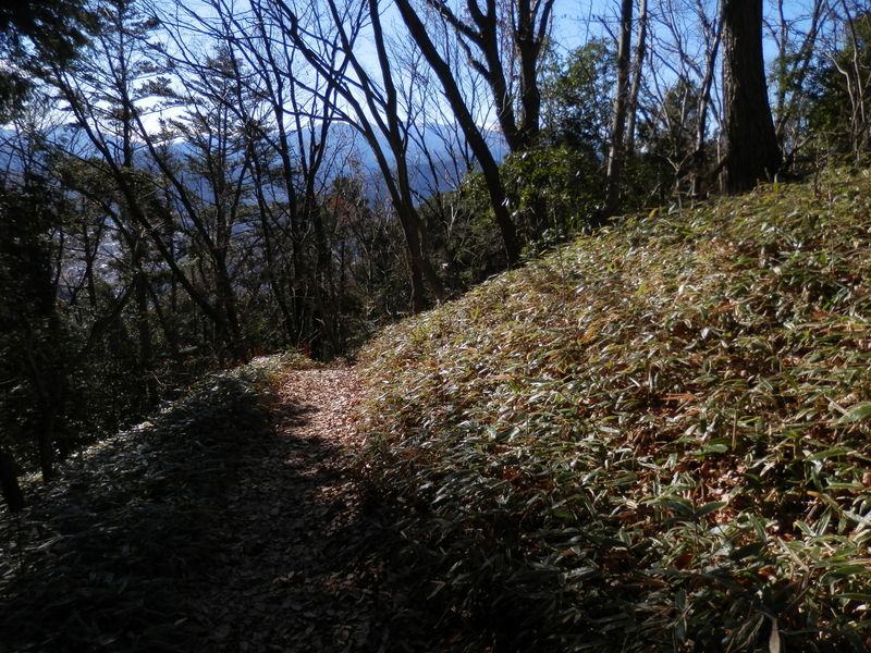 南高尾山稜 -- 南方には常に丹沢が見え隠れする