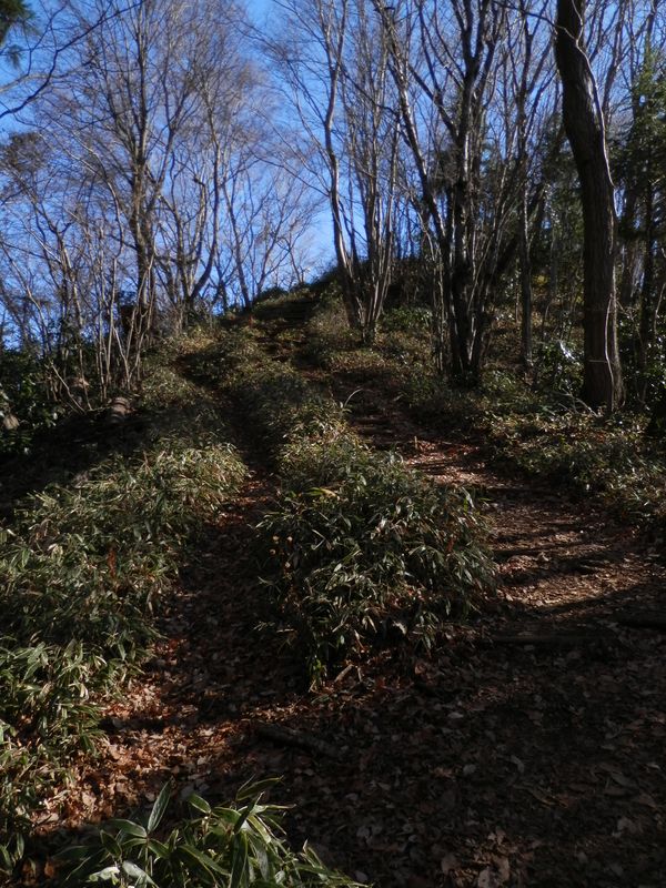 南高尾山稜 -- コンピラ山直下