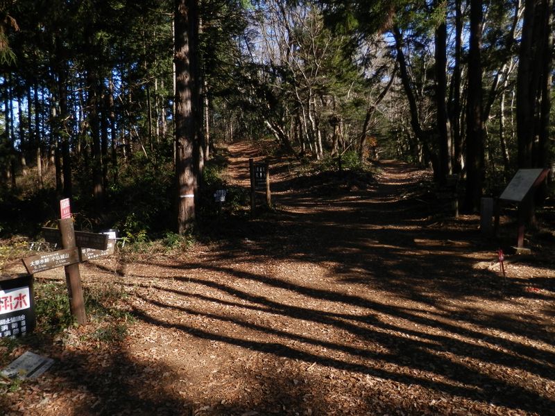 南高尾山稜 -- やや雑然とした、三沢峠
