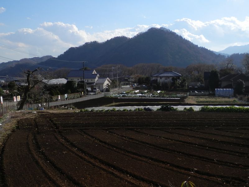南高尾山稜 -- 中沢より望む、津久井城山