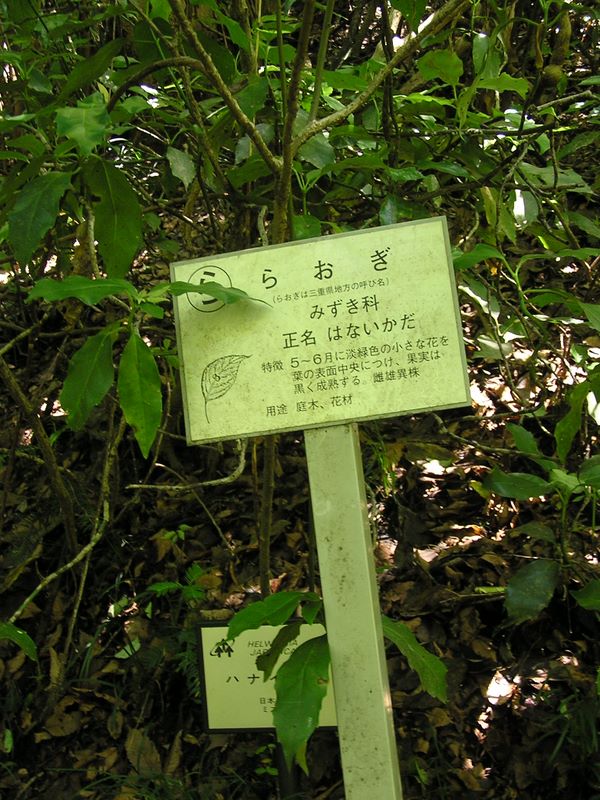 高尾山・いろはの森 -- 『ら』　らおぎ