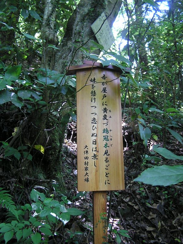 高尾山・いろはの森 -- 『い』　いろはもみじの木の下に、鶏冠木（かへるで）を詠んだ歌