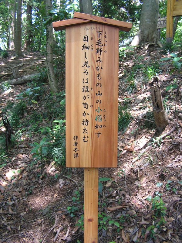 高尾山・いろはの森 -- 『こ』　こなら　コナラ