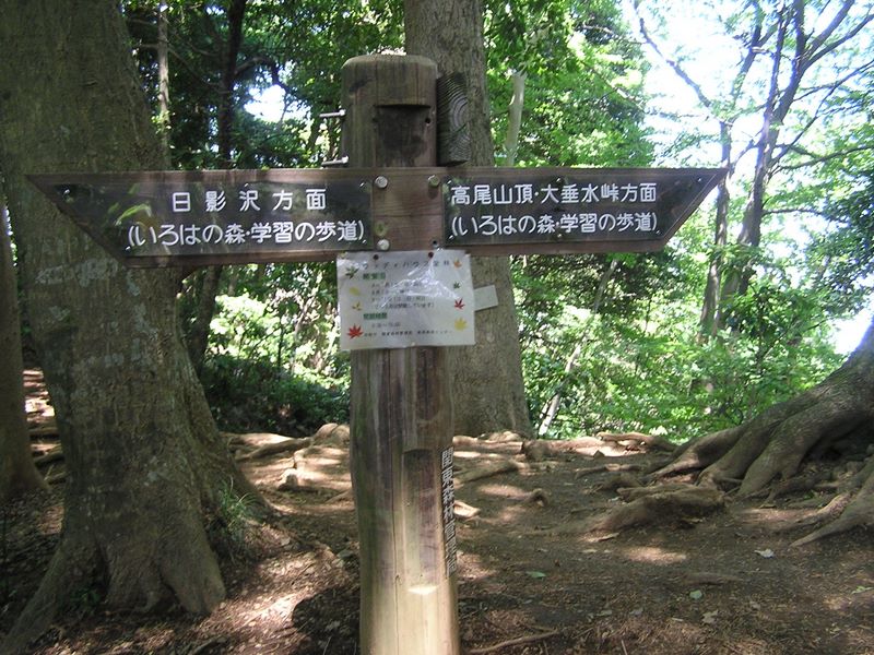 高尾山・いろはの森 -- ここで一旦４号路と接合し、すぐ右手で分かれる
