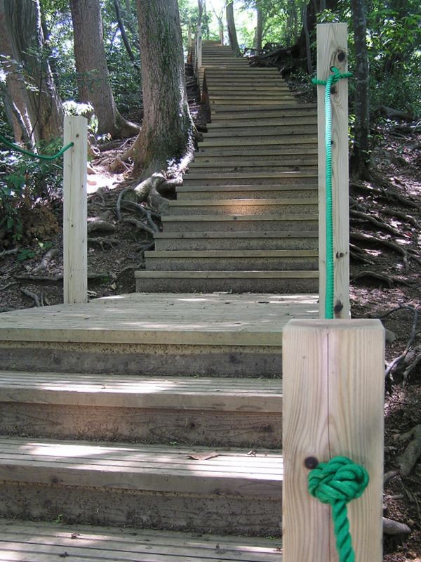 p6229741.jpg (large)