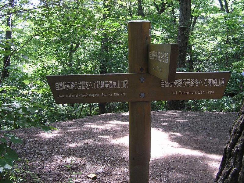 高尾山・いろはの森・六号路 -- ここから６号路を下る