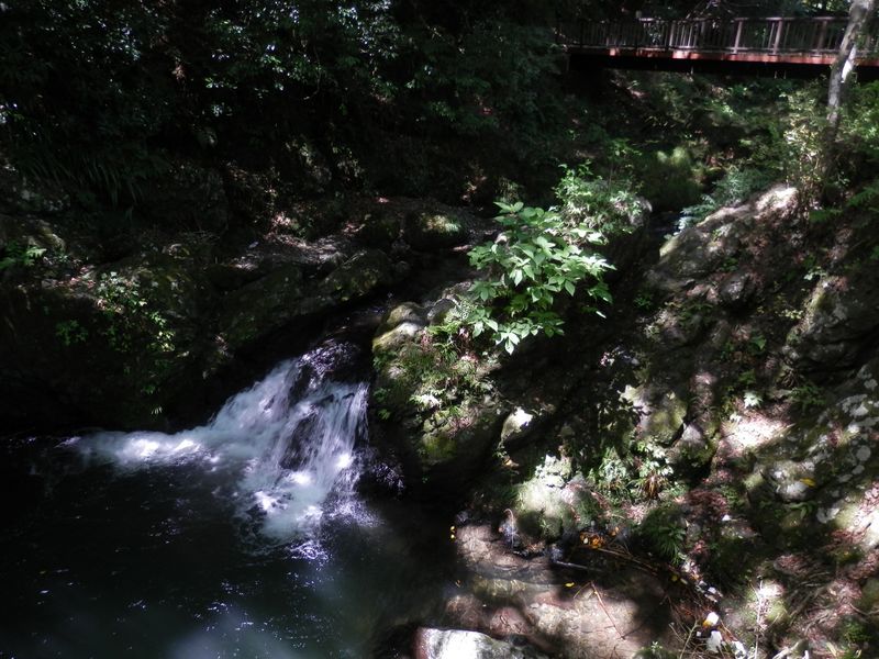 ドボンと飛び込んでみたくなりそう