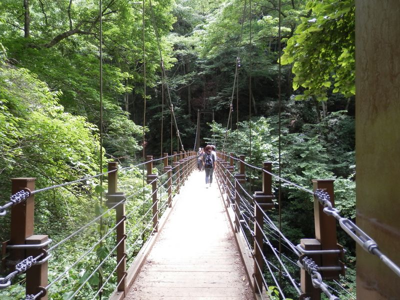 みやま橋はほとんど揺れない