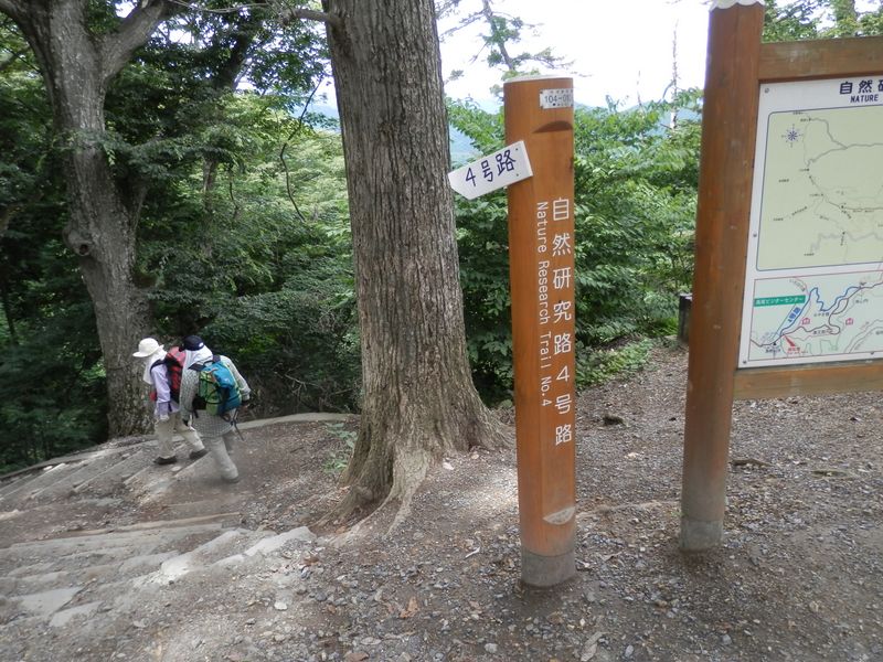 4号路と5号路と1号路が出合う