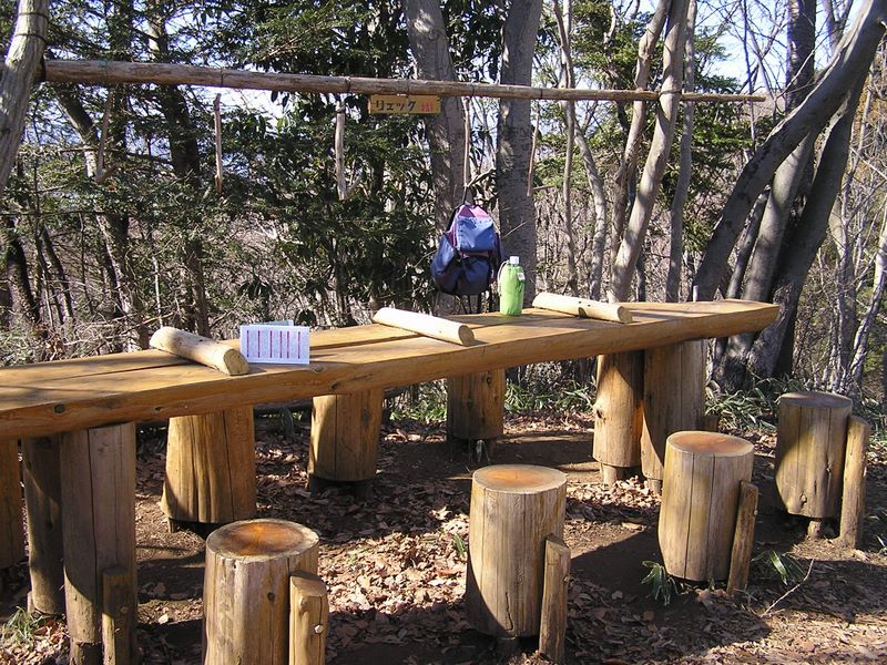 南高尾山稜 -- コンピラ山の山頂のリュック掛け