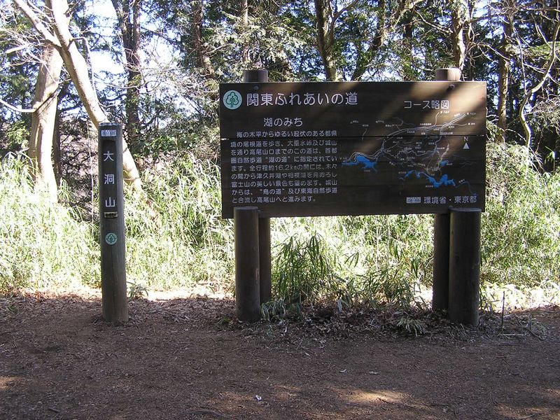 南高尾山稜 -- 大洞山の山頂を通過