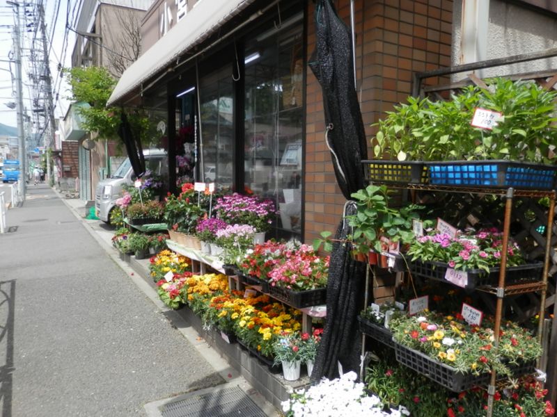 この花屋さんで季節感を