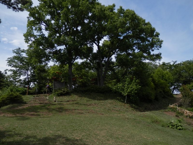 山頂の芝生広場で昼食