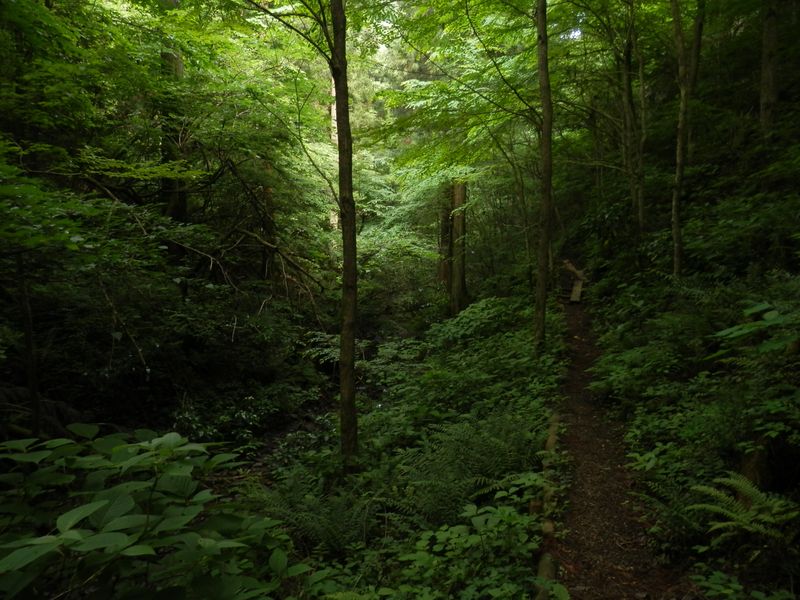 高尾山にある秘密の小路