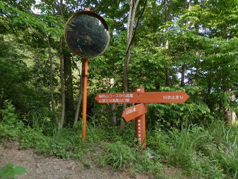 ここで左折し、稲荷山コースから6号路を目指す