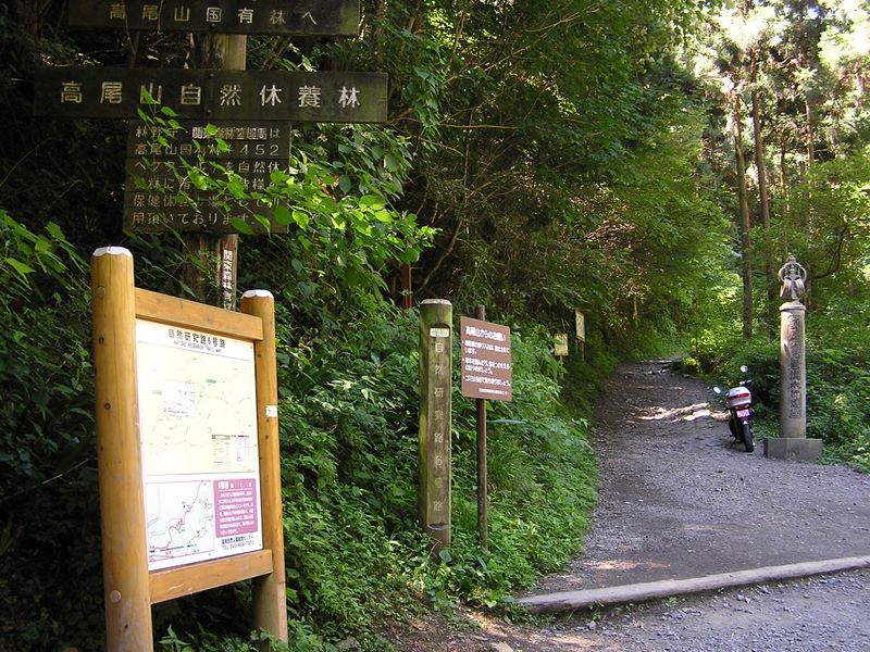 高尾山・野草園 -- 6号路入口