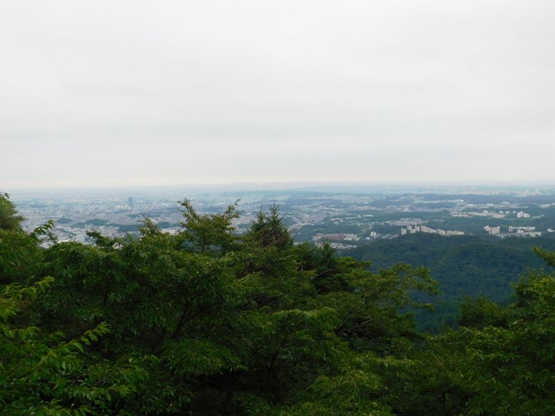 霞台より、都心方面を望む