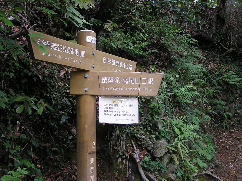 これより２号路