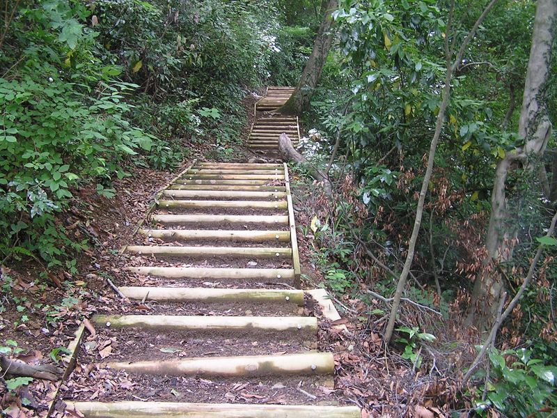 ２号路を西に進む