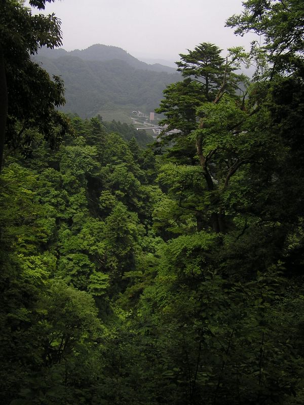４号路より、中央自動車道の小仏トンネルを望む
