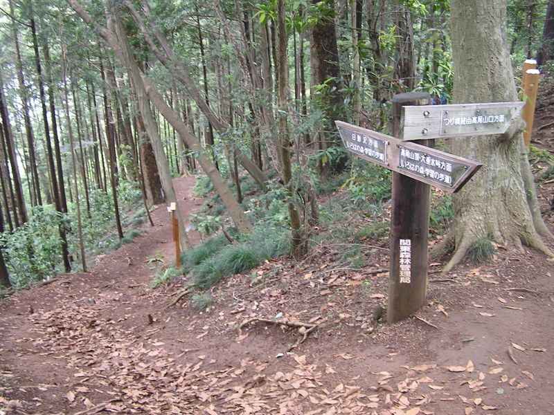 いろはの森・学習の歩道を右から合わせる