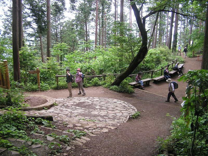 ５号路はここで奥高尾縦走路と交差して、左に山頂を巻く