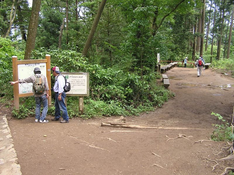 稲荷山への道を右に分ける
