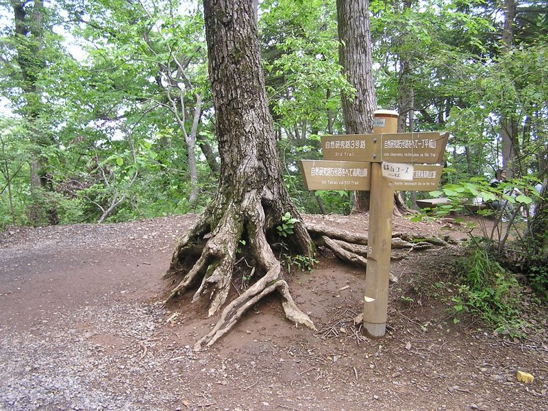 ５号路を離れ、３号路に進む