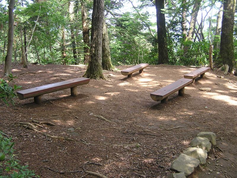 かしき谷園地で小休止