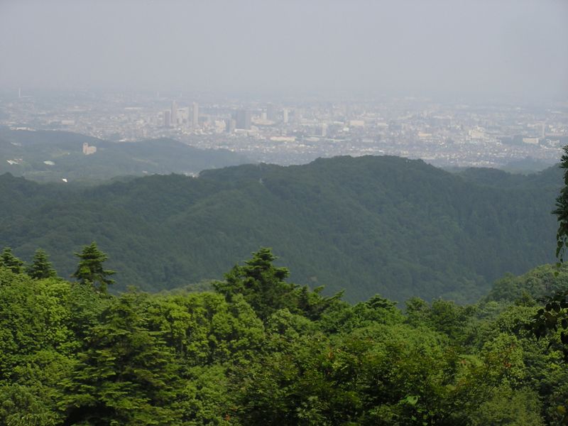 ３号路より、八王子市街地を望む