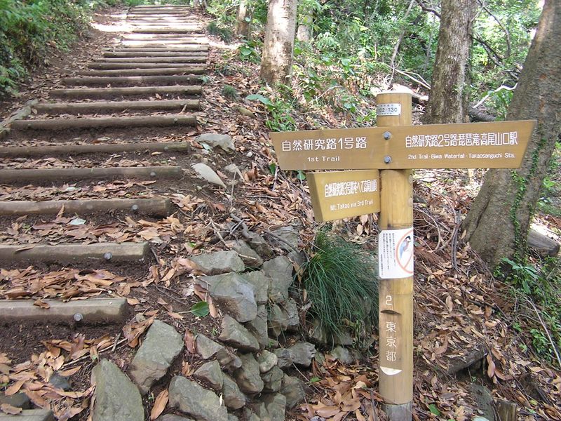 ここで3号路は終わり、右の2号路に進む