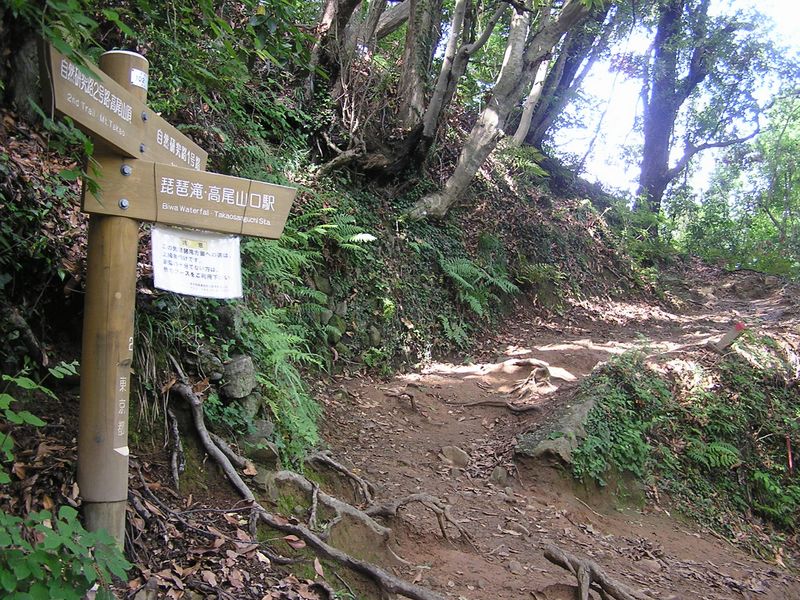 ２号路を離れ、琵琶滝方面に進む