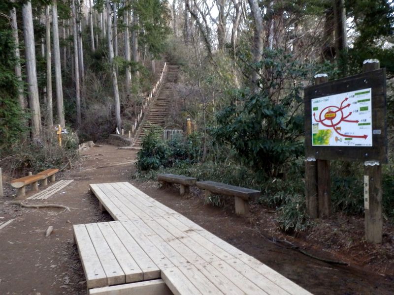 高尾山頂の巻き道