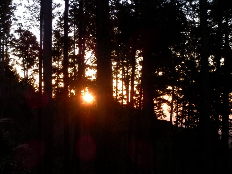 太陽が顔を出した！