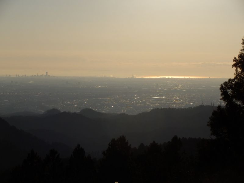 黄金色に輝く相模湾