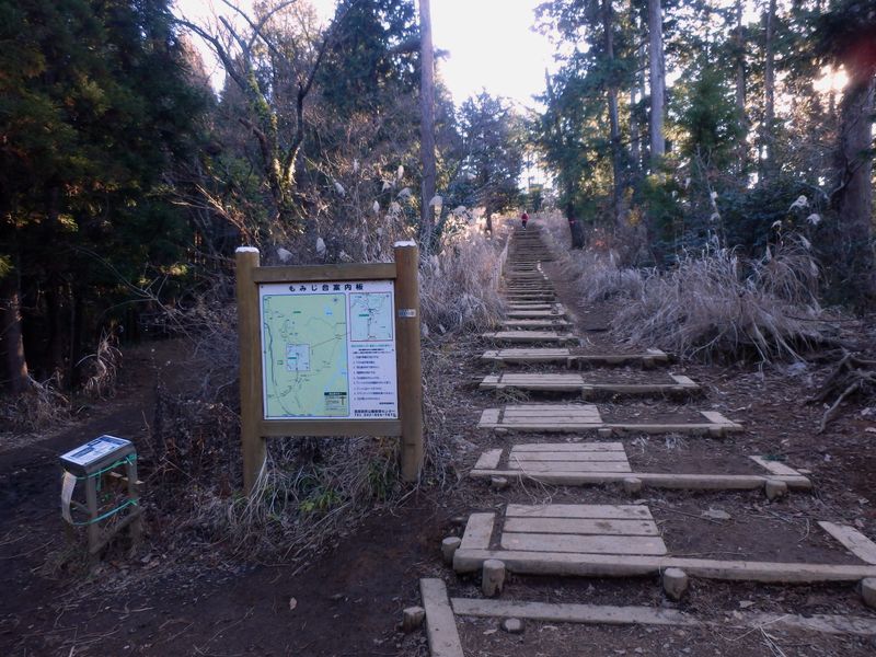 左の巻き道に入ってみる