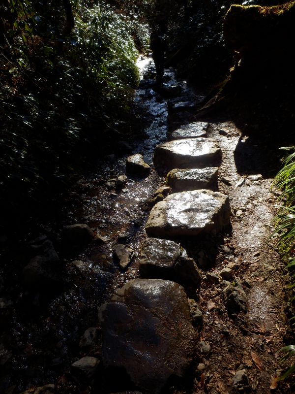 6号路の名物、飛び石